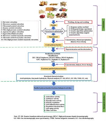 Extraction, purification, structure, modification, and biological activity of traditional Chinese medicine polysaccharides: A review